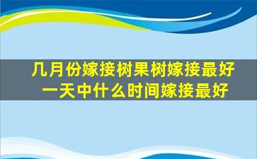 几月份嫁接树果树嫁接最好 一天中什么时间嫁接最好